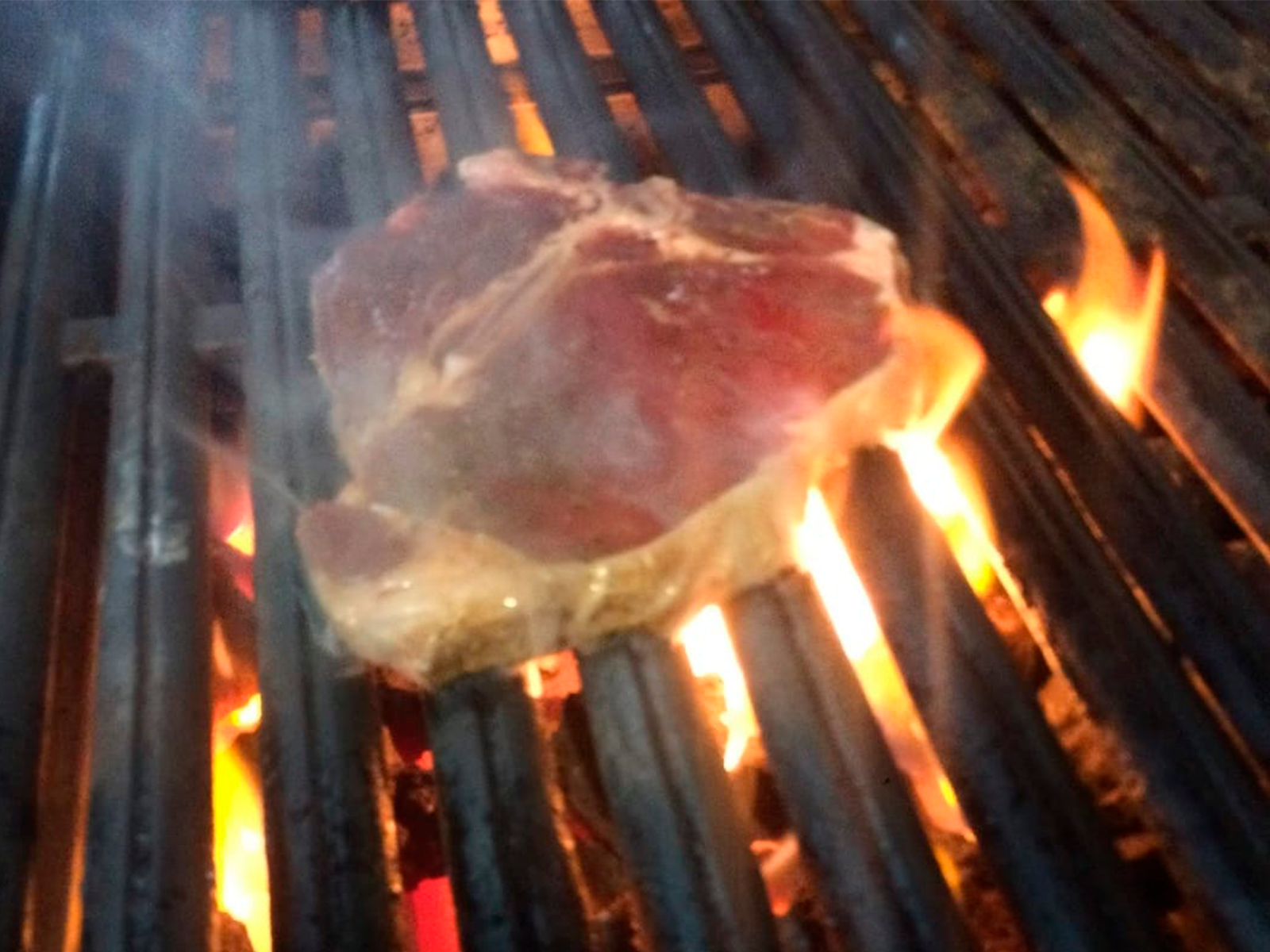 carne